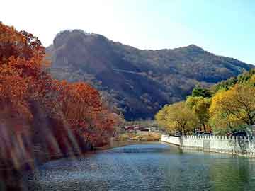 天天彩好彩天天免费，和县物流